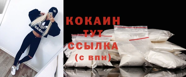 мяу мяу мука Аркадак