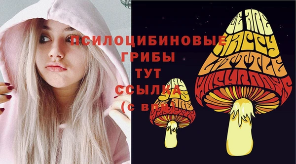 герыч Арсеньев